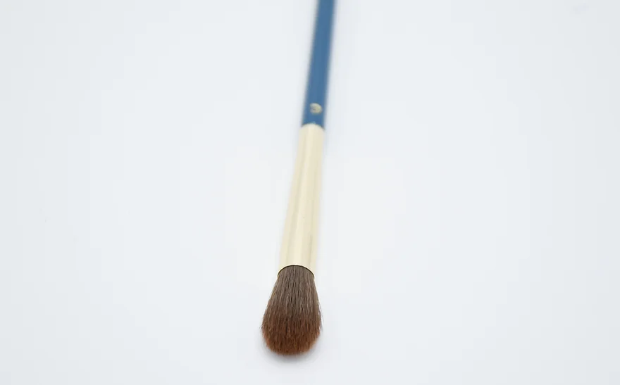 Eye Brush 1