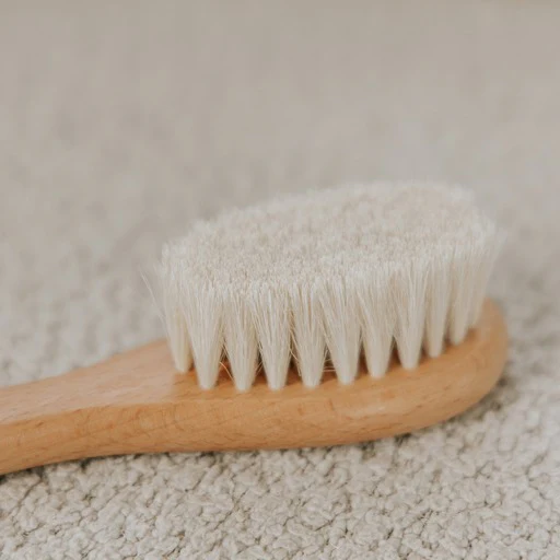 Facial Dry Brush