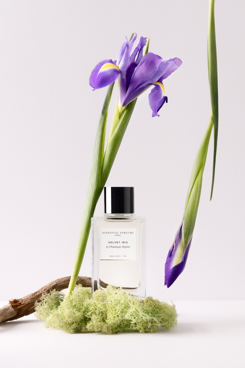 Velvet Iris