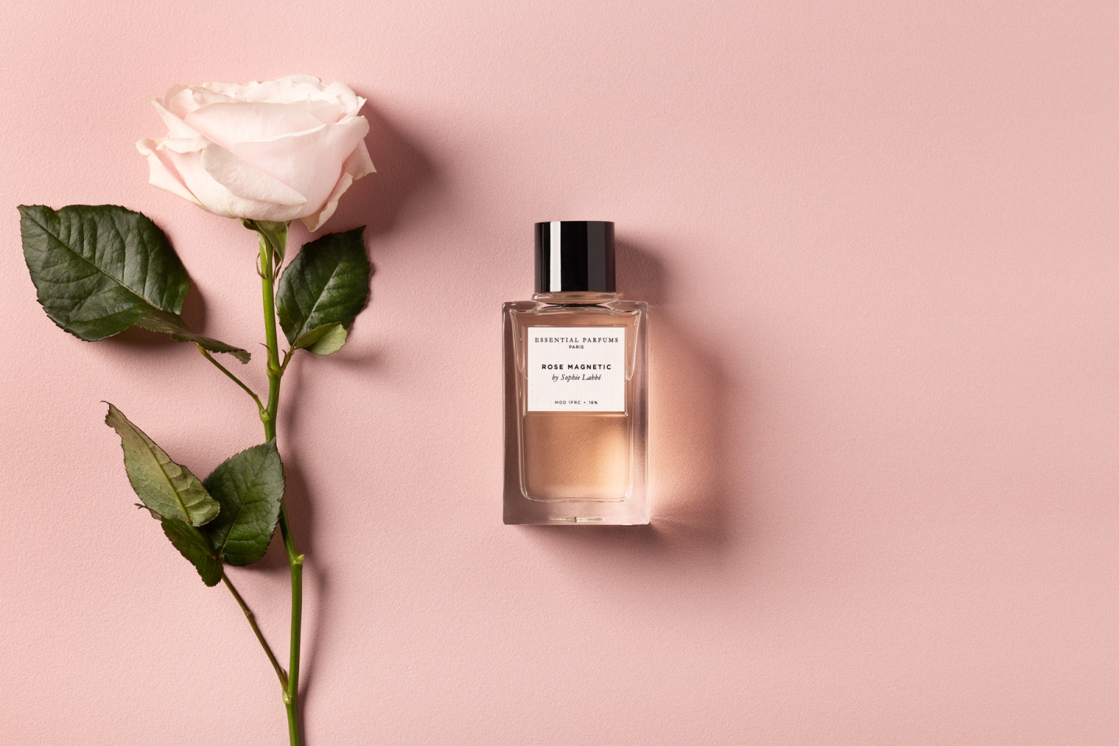 Rose Magnetic