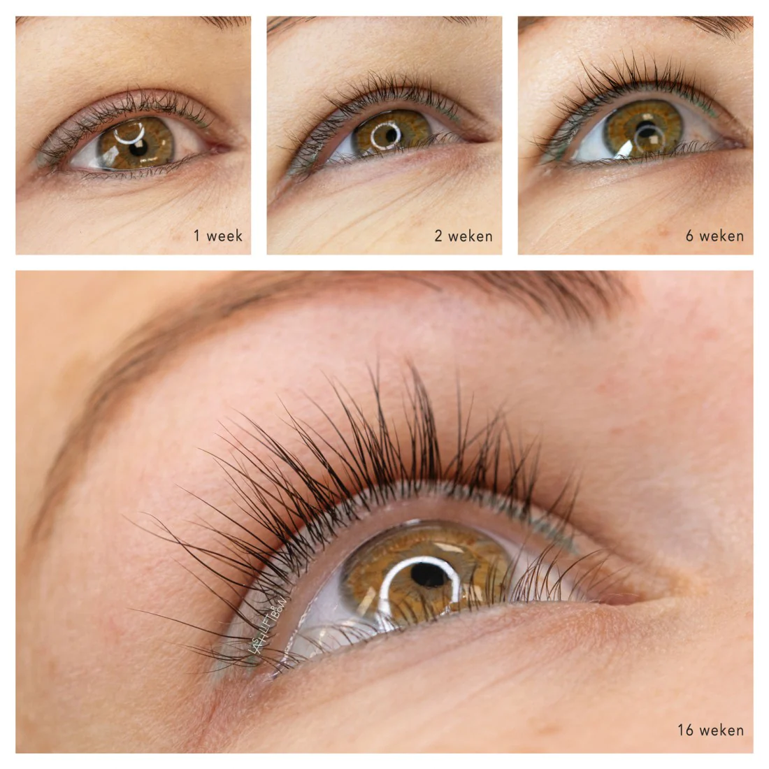 Lash Lift Brow | Eyelash Growth Serum - wimperserum